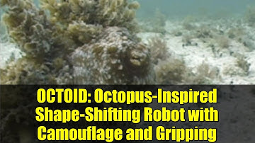 OCTOID: Octopus-Inspired Shape-Shifting Robot with Camouflage and Gripping
