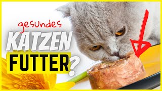 Fütterst du deine Katze wirklich artgerecht? (4PunkteCheckliste)