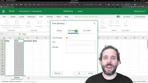 Data Entry (in Excel) using Data Validation and Avoiding Issues with Dates