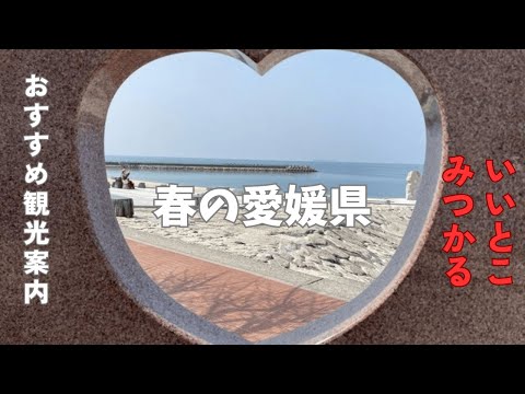 春の愛媛県　お勧め観光スポット