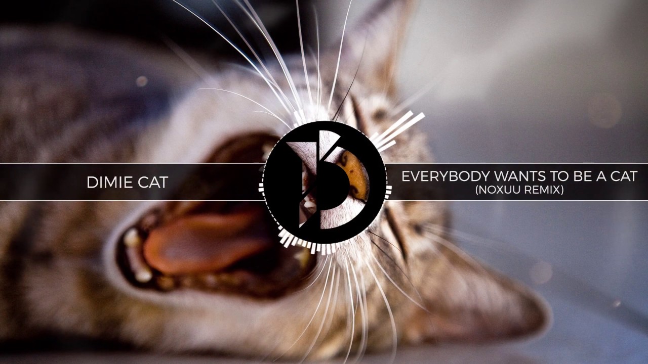 Dimie Cat - Everybody Wants To Be A Cat (NoXuu Remix) - YouTube - Everybody Wants To Be A Cat Remix