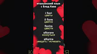 итальянский язык для начинающих #итальянский #итальянскийснуля
