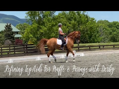 Refining Leg Aids For Piaffe & Passage with Derby