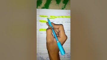 classification of Eggs 🐧