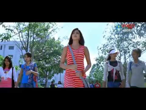 نور الزين عثاره 