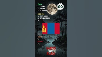 Test Your Skills: Guess the Country by the Flag! #fun #shorts #countryquiz #quiz #trivia #games