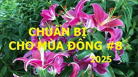 BÍ QUYẾT ĐỂ CÓ THỂ TRỒNG & GIỮ HƠN 50 LOẠI HOA MỌC TƯƠI TỐT TRONG VƯỜN HƠN 20 NĂM Ở XỨ LẠNH -NGA USA