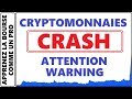 CRYPTO MONNAIES CRASH BITCOIN BITCONNECT ETC ATTENTION AU GOUROU DES CRYPTOS HASHER TREVON JAMES