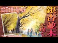 チャッピーと始める水彩画講座91『銀杏並木を描く』watercolor tutorial for beginner.