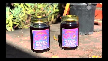 Mystic Nectar: Video Promo