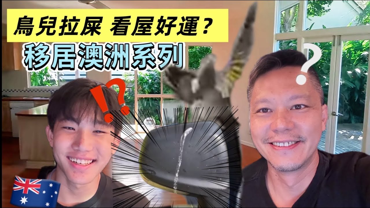 移居澳洲系列 鳥兒拉屎 看屋好運？