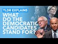 The Democratic Candidates Policy Positions Explained - TLDR News