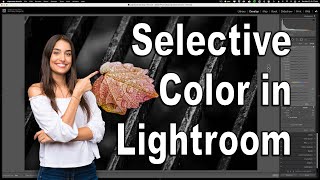 Selective COLOR in Lightroom