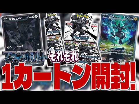 ポケカ】カートン開封!『ブラックボルト』デラックスと通常どっちがお ポケカ】カートン開封!『ブラックボルト』デラックスと通常どっちがお