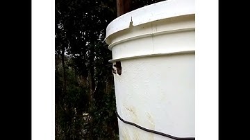 swarm trap update #bee bucket