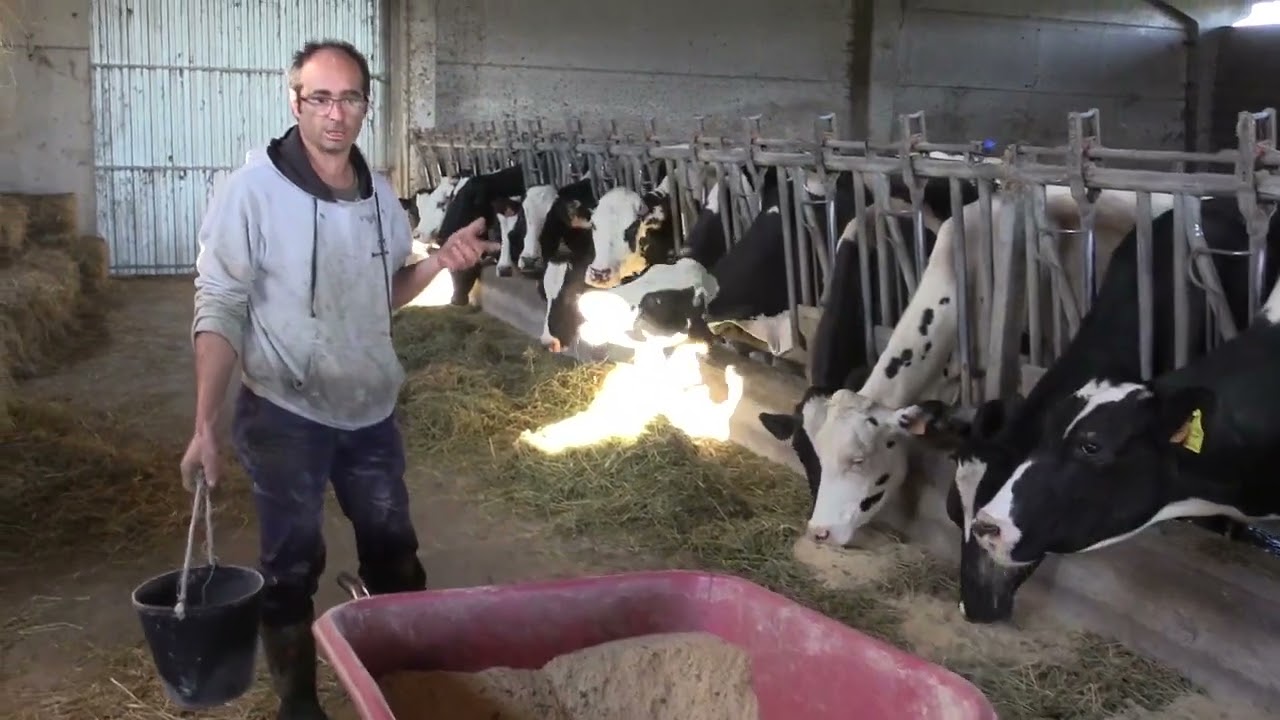 Ganaderos en su hábitat | Ganaderia Zierbana | 11.3.2022