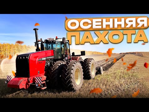 Видео: Начало осенний пахоты 2023! Трактор РСМ-2400 с ПГ-5