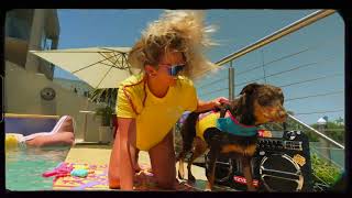 Pitviper X Ezydog - Brace Yourself