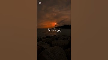 قران كريم ❣️ #اكسبلور #حالات_واتس #راحة_نفسية #الرحمن #لايك #المصحف #دويتو #المراه #الطحان