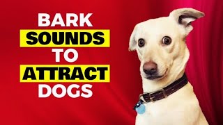 Barks that Attract Dogs (Dogs Barking)