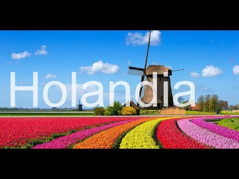 Wideo: Co Zobaczyć W Holandii