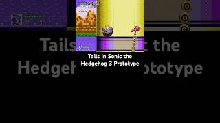Famous Tails in Sonic the Hedgehog 3 (November 3, 1993 Prototype) (créditos a @Laffy_Taffy) Wealth