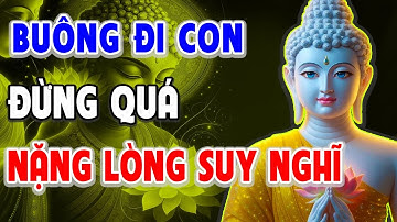 Cuộc Đời Quá Mỏi Mệt – Học Cách Buông Bỏ Để Tâm Được Bình An l Lời Phật Dạy Thấm Tận Tim