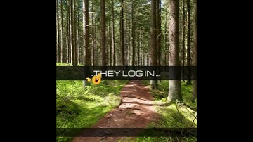 how do trees get on the internet (1).mp4