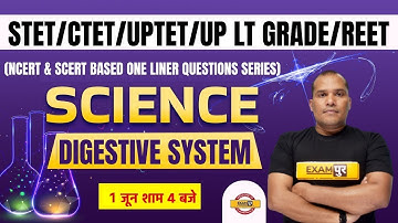 CTET/UPTET Science Classes | Super TET/LT Grade Science | Science Digestive System by Adarsh Sir