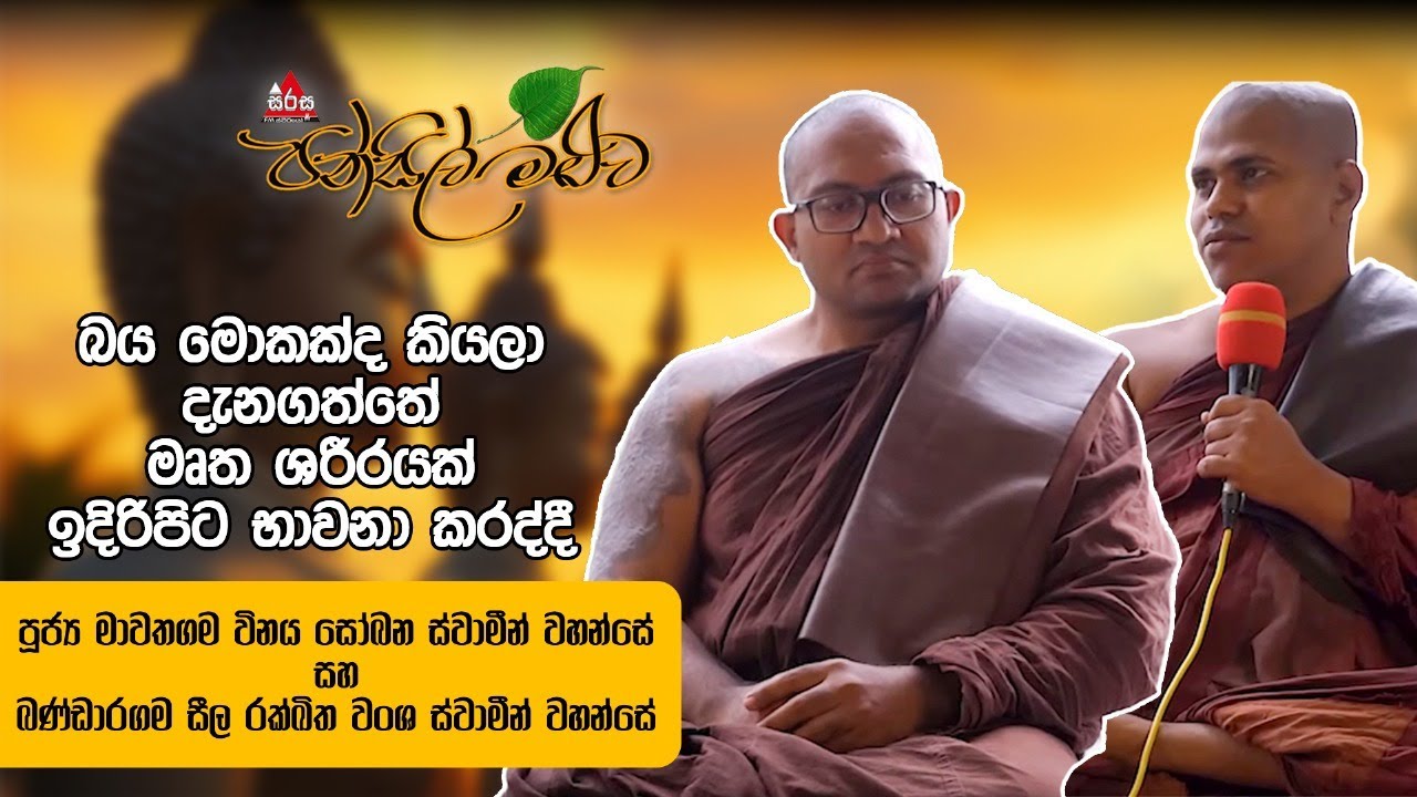 විශේෂ බලකායේ සිට පැවදිව ජීවිත කාලය පුරාම පාද චාරිකාවේ යෙදෙන පූජනීය ස්වාමීන් වහන්සේ | Pansil Maluwa