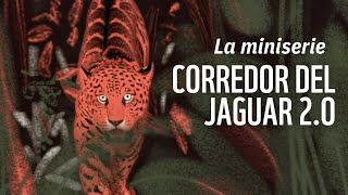 TRAILER ¡Lanzamos la miniserie 2.0 del Corredor del Jaguar!