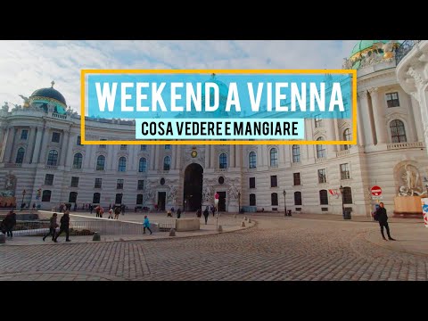 Video: Cosa Vedere A Vienna