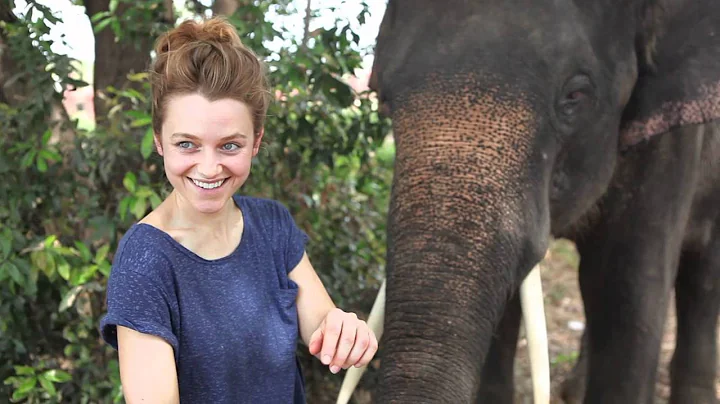 Elephant Plays Drums on a Galaxy Note