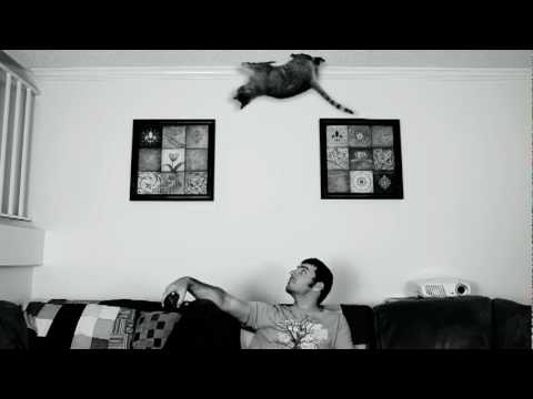 Video: Unormal Membranåbning I Katte