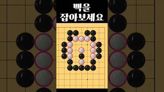 쉬운 바둑 사활 - 백을 기가막히게 잡아보세요