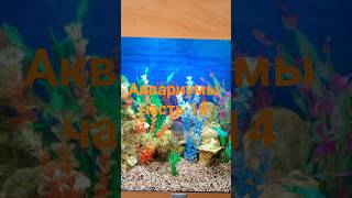 #красивый аквариум часть 14 #аквариумы #мой мир  #акваскейп #aquarium #aquascape #水族馆 #حوض السمك