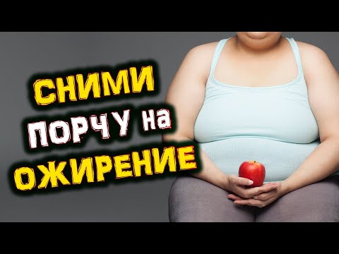 Сними ПОРЧУ на ОЖИРЕНИЕ | Голос Анха