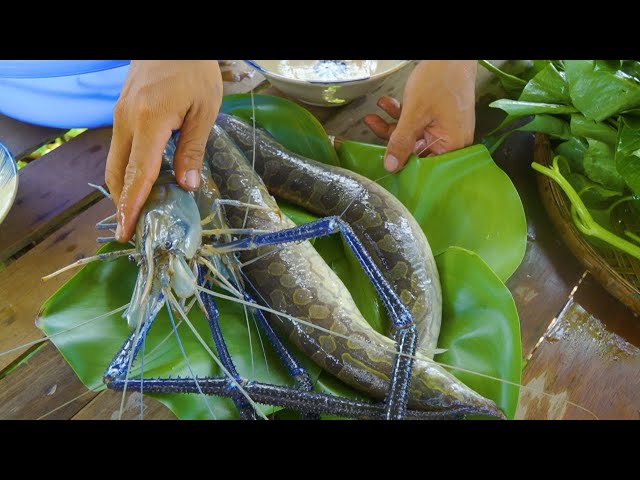 Giao lưu kênh Khói Bếp - Tv thưởng thức cá Chạch Lấu khủng sông MeKong | Nét Quê #512 class=