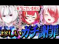 残り4部隊の終盤戦で凡ミス&謝罪するdtto.【秋雪こはく / dtto. / 猫汰つな / #APEX / REJECT / 切り抜き】