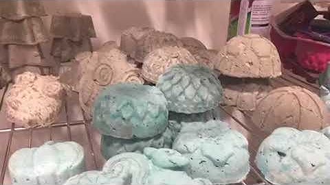 Program provides jobs to people with developmental disabilities