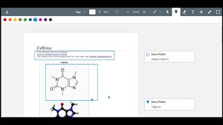 Canvas Peer Review Making Comments