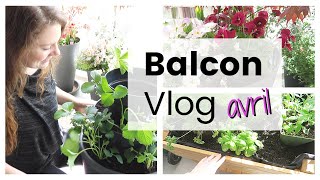 BALCON VLOG - Tour de fraises DIY, potager surélevé, repiquer les semis | Vlog jardinage au balcon