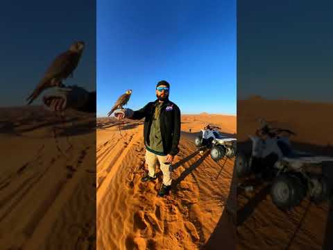 Dubai 2020 , insta360 One X , Vlog 19