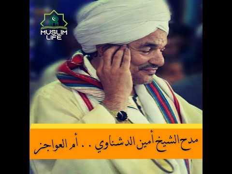 مدح الشيخ أمين الدشناوى أم العواجز