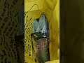 З/ч КАМАЗ  - отправка в город Оренбург