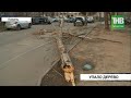 Дерево упало на припаркованный автомобиль | Казань | ТНВ