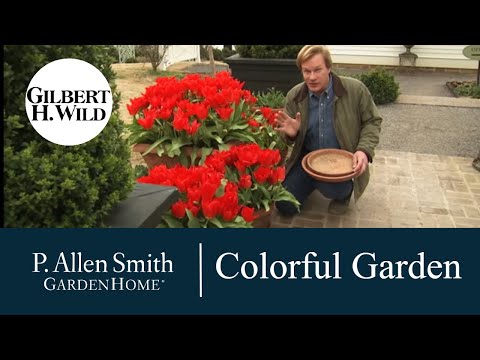 Vidéo: Memorial Planting Ideas – Choisir des plantes pour un jardin commémoratif