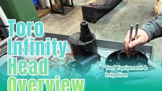 Toro Infinity Head