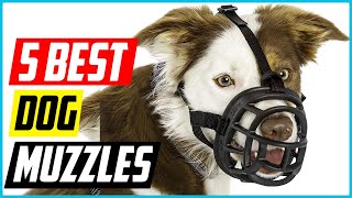 Best Dog Muzzles 2021 [Top 5 Picks]