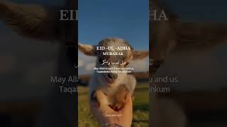 Hamada Helal Mohamed Nabina youtube Hamada Helal